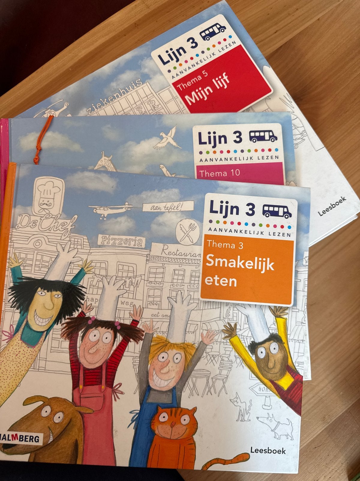 Lijn 3 Leesboeken - Diverse Thema's (Aanvankelijk Lezen), Ophalen of Verzenden, Zo goed als nieuw, Overige niveaus, Nederlands