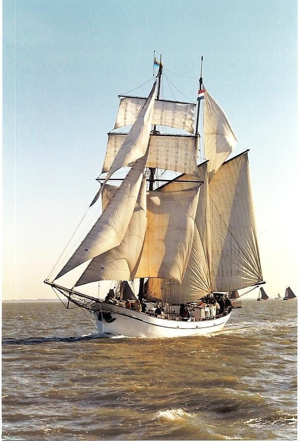 Pattje 1900, 33 m topzeilschoener, varend Hollands erfgoed, Watersport en Boten, Ophalen, Gebruikt