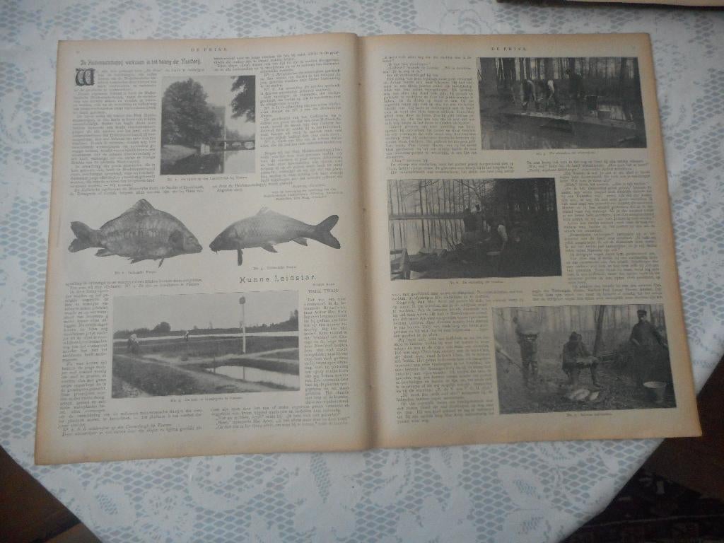 Nederlansche Heidemaatschappij. Vaassen. 1905., Ophalen of Verzenden, Voor 1920, Nederland, Knipsel(s)