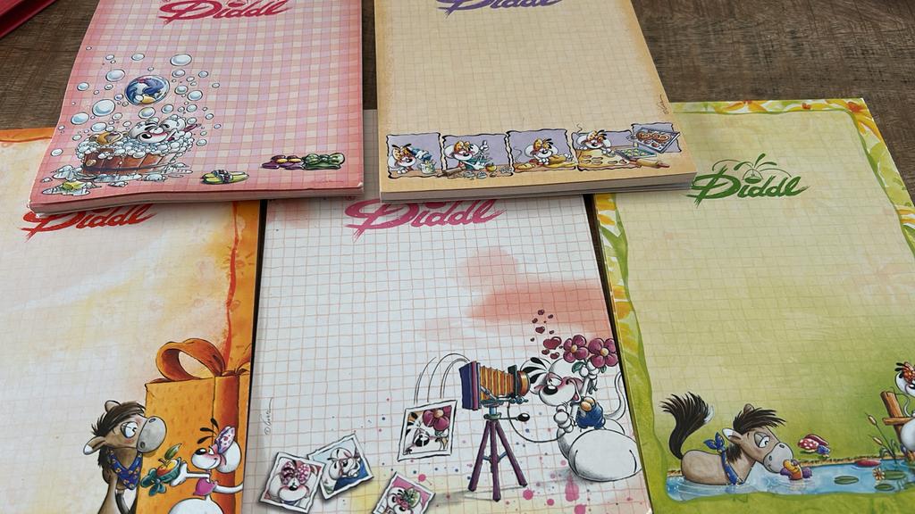Diverse Diddl blokken - A4, A5, A6, Verzamelen, Diddl, Ophalen of Verzenden, Verschillende figuren, Zo goed als nieuw, Papier, Kaart of Schrift