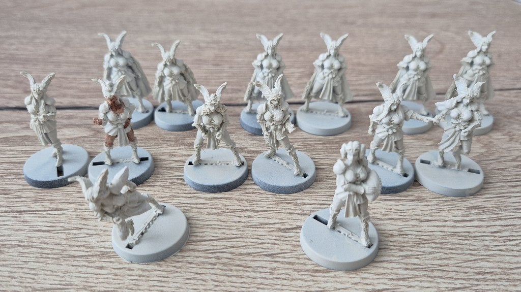 Blood Bowl - Amazones - Black Scorpion Miniatures, Ophalen of Verzenden, Gebruikt, Overige soorten, Figuurtje(s)