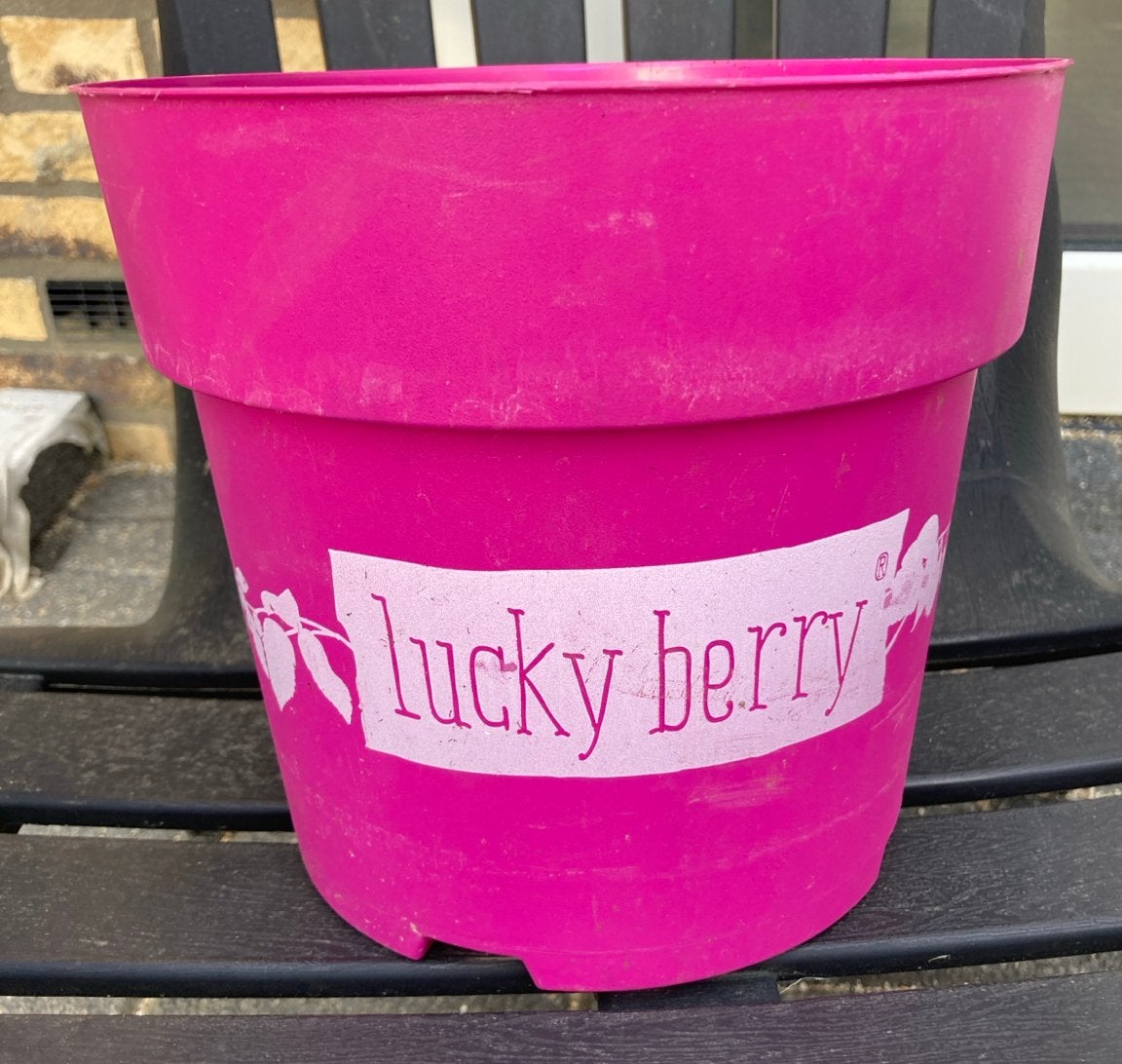 Roze bloempot 'Lucky Berry', Tuin en Terras, Kunststof, Gebruikt, Rond, Ophalen of Verzenden