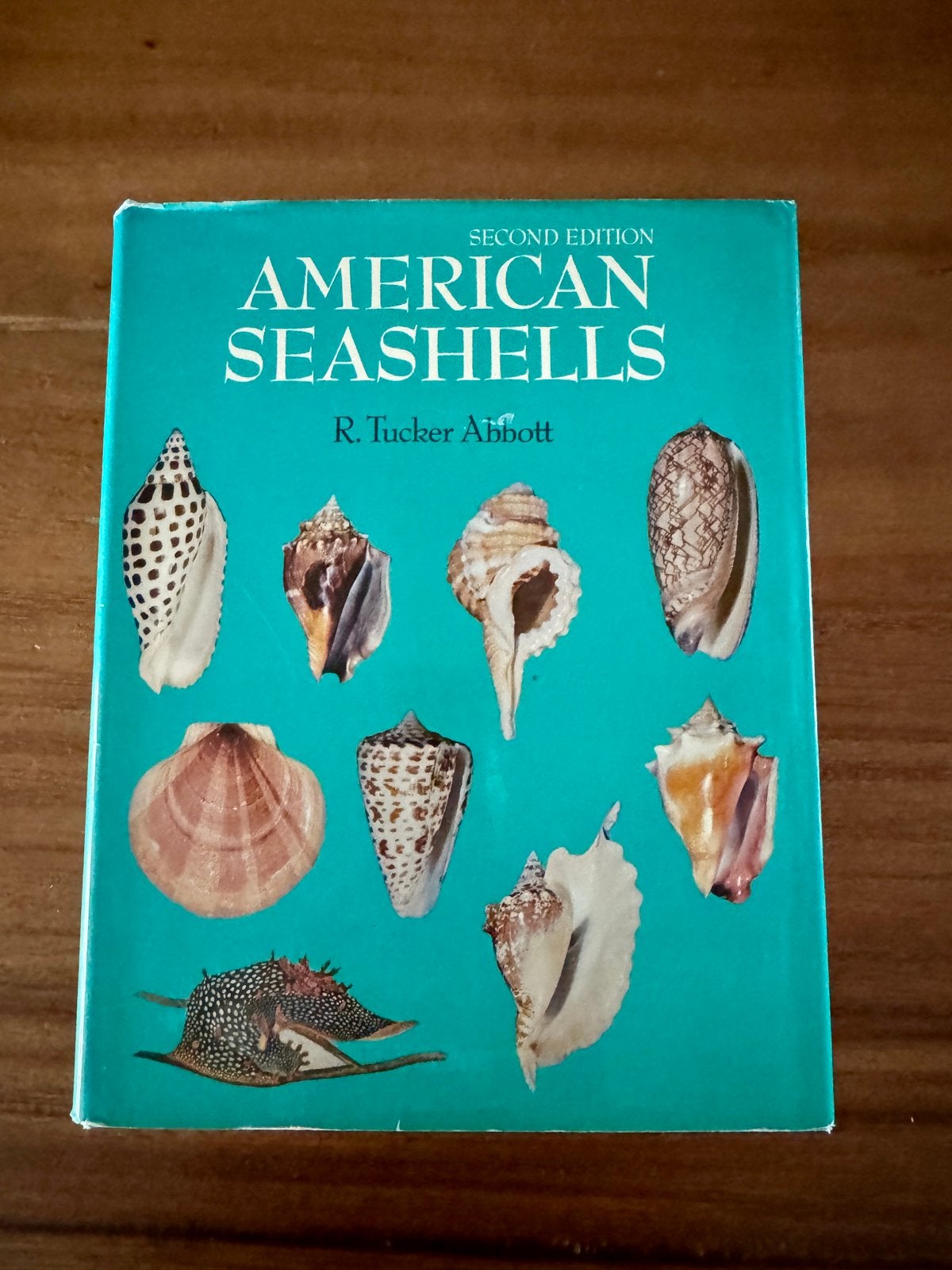 American Seashells - R. Tucker Abbott (2e editie, 1974), Boeken, Natuur, Verzenden, Gelezen, Overige onderwerpen