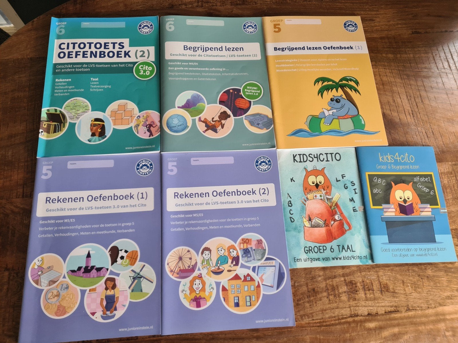 Junior Einstein CITO oefenboeken, Ophalen of Verzenden, Zo goed als nieuw, 3 tot 4 jaar