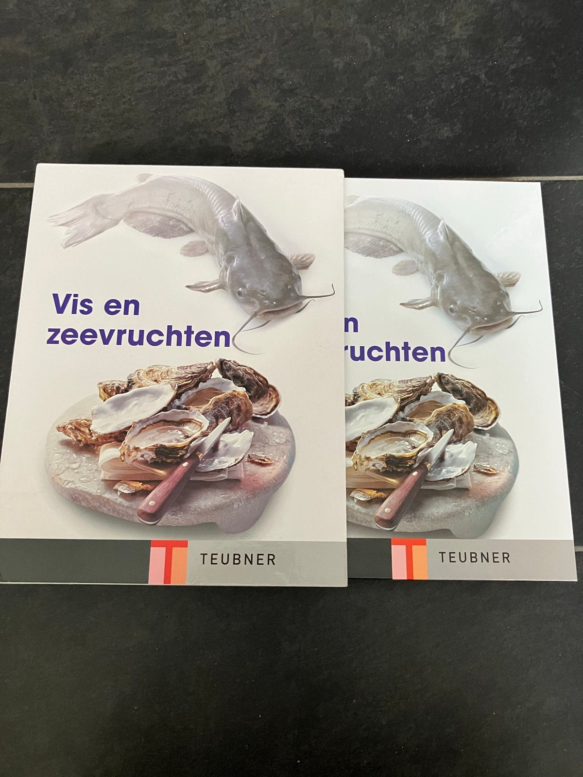 Teubner Vis en Zeevruchten Kookboek, Ophalen of Verzenden, Zo goed als nieuw, Overige gebieden, Overige typen