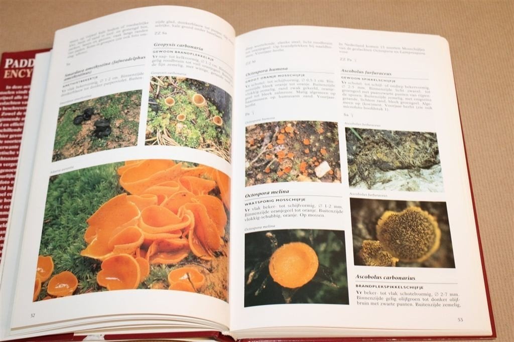 Paddenstoelen Encyclopedie — Naslagwerk met Honderden Foto\', Boeken, Ophalen of Verzenden, Gelezen