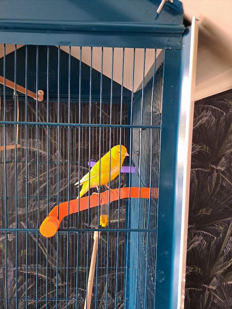 Ruimtebesparende geribbelde hoekzitstok, Ophalen of Verzenden, Nieuw, Kunststof, Vogelkooi