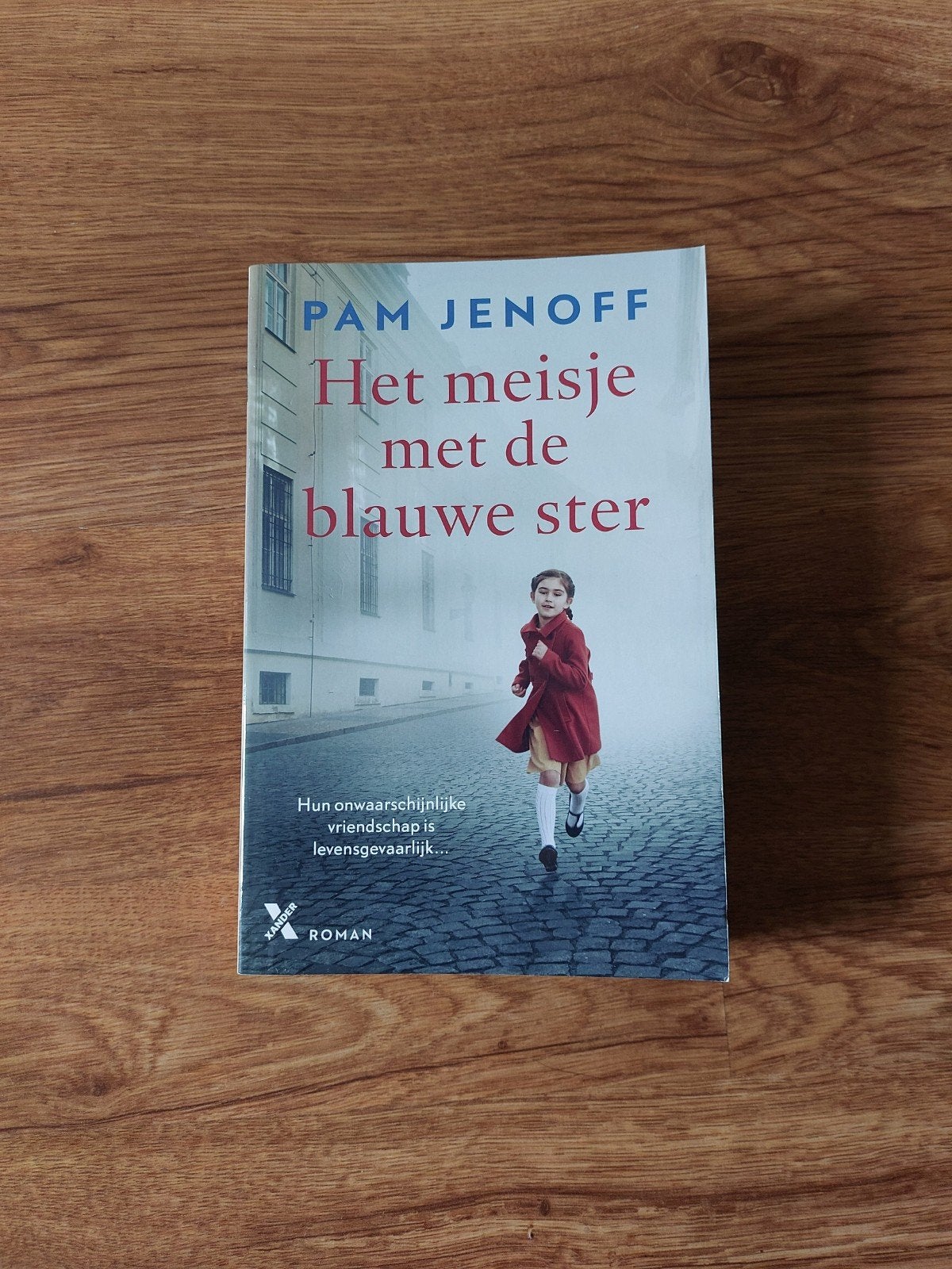 Roman • Pam Jenoff - Het meisje met de blauwe ster, Ophalen of Verzenden, Zo goed als nieuw, Pam Jenoff
