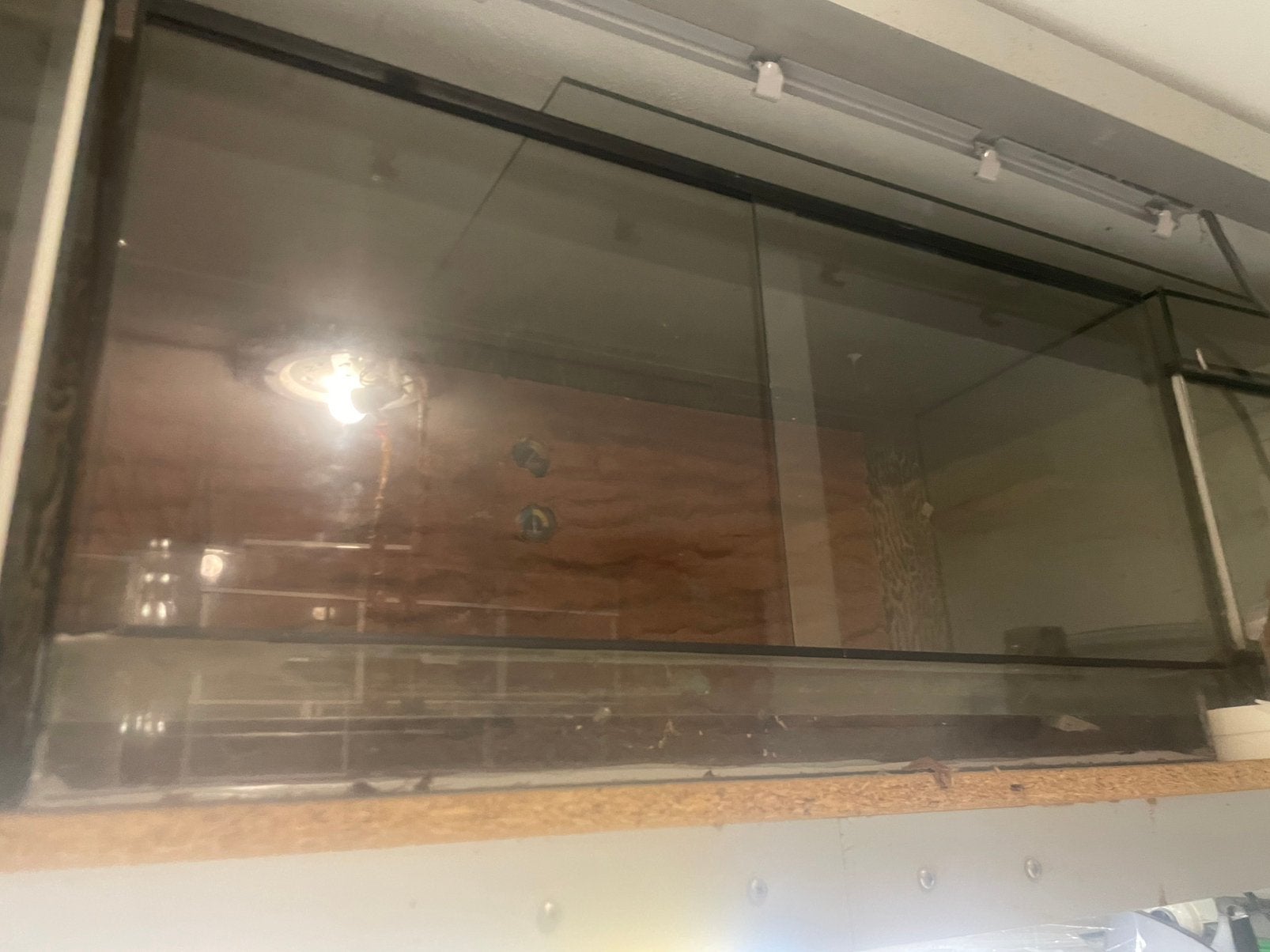 terrarium, Dieren en Toebehoren