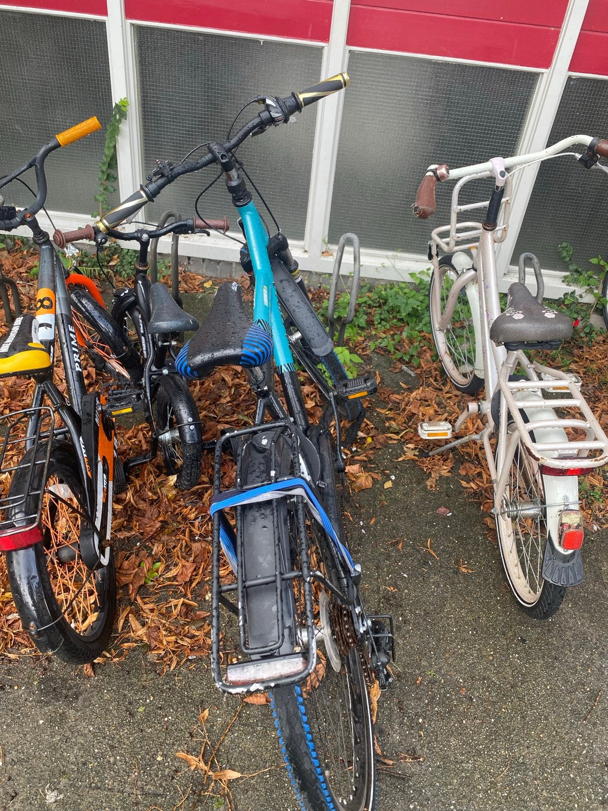 Mooie en nette Alpina mountainbike, Overige merken, Hardtail, Heren, Ophalen of Verzenden