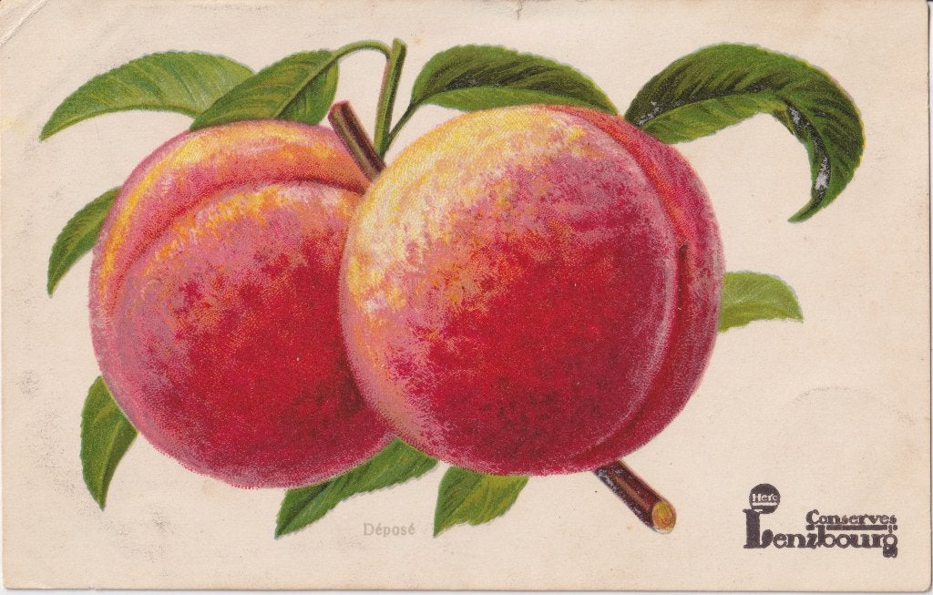 AK  HERO-Lenzbourg Breda Conserven  -Perziken-  Ongelopen, Ophalen of Verzenden, 1920 tot 1940, Ongelopen, Noord-Brabant