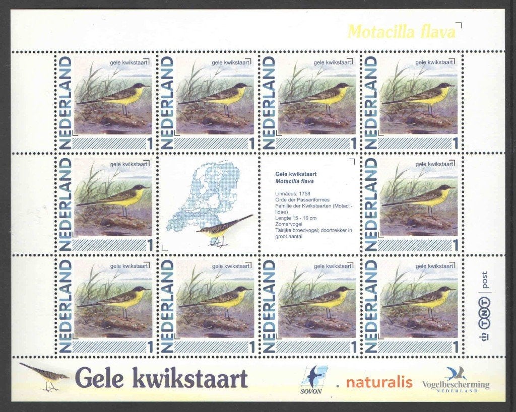 Postzegels Vogels in Nederland: Gele kwikstaart, Ophalen of Verzenden, Na 1940, Postfris