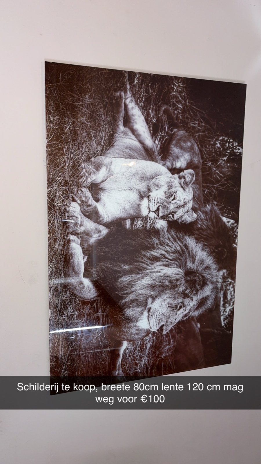 Schilderij, Ophalen, Zo goed als nieuw, Schilderij