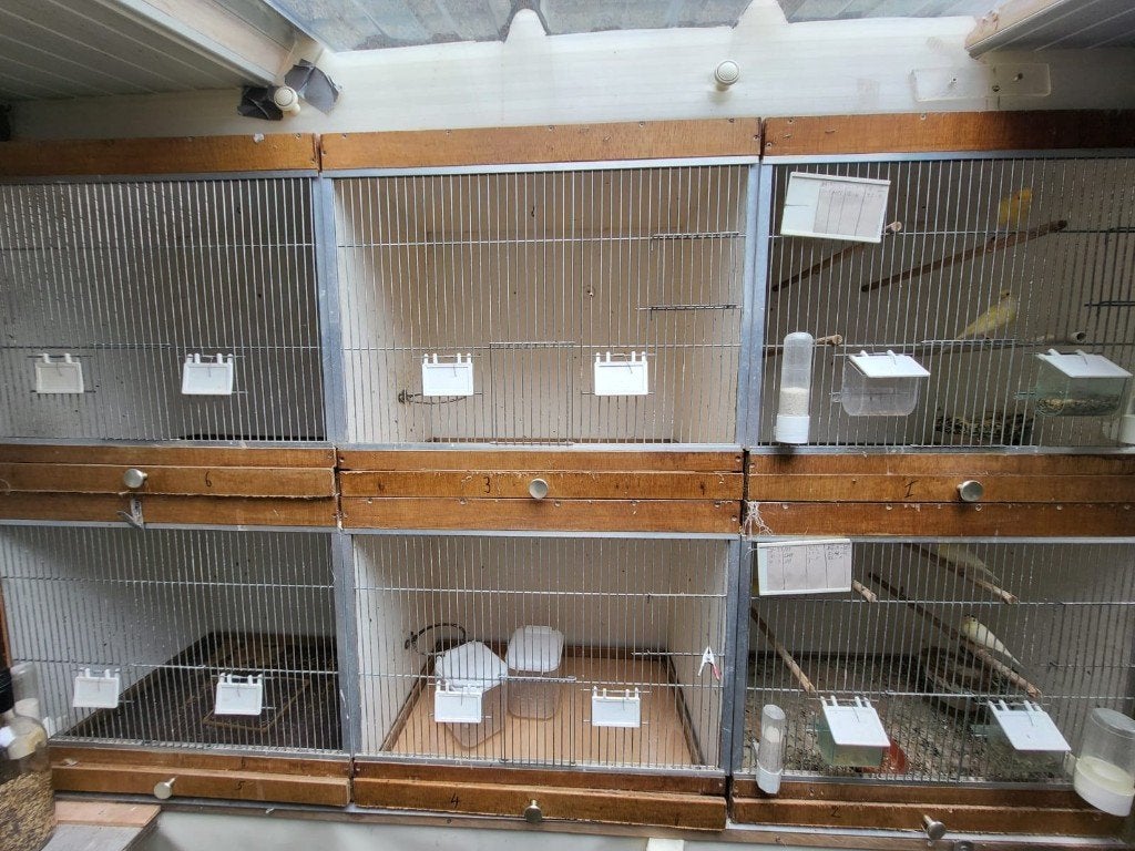 Kanarie inventaris - broedkooien, reiskooien en toebehoren, Ophalen, Gebruikt, Kooi-accessoires