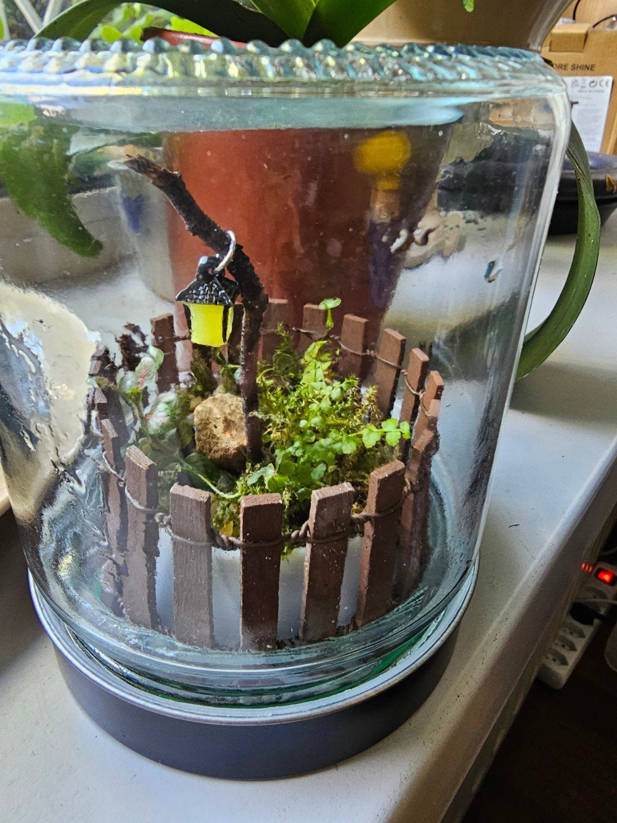 Uniek handgemaakt terrarium met levende planten, Ophalen of Verzenden, Nieuw