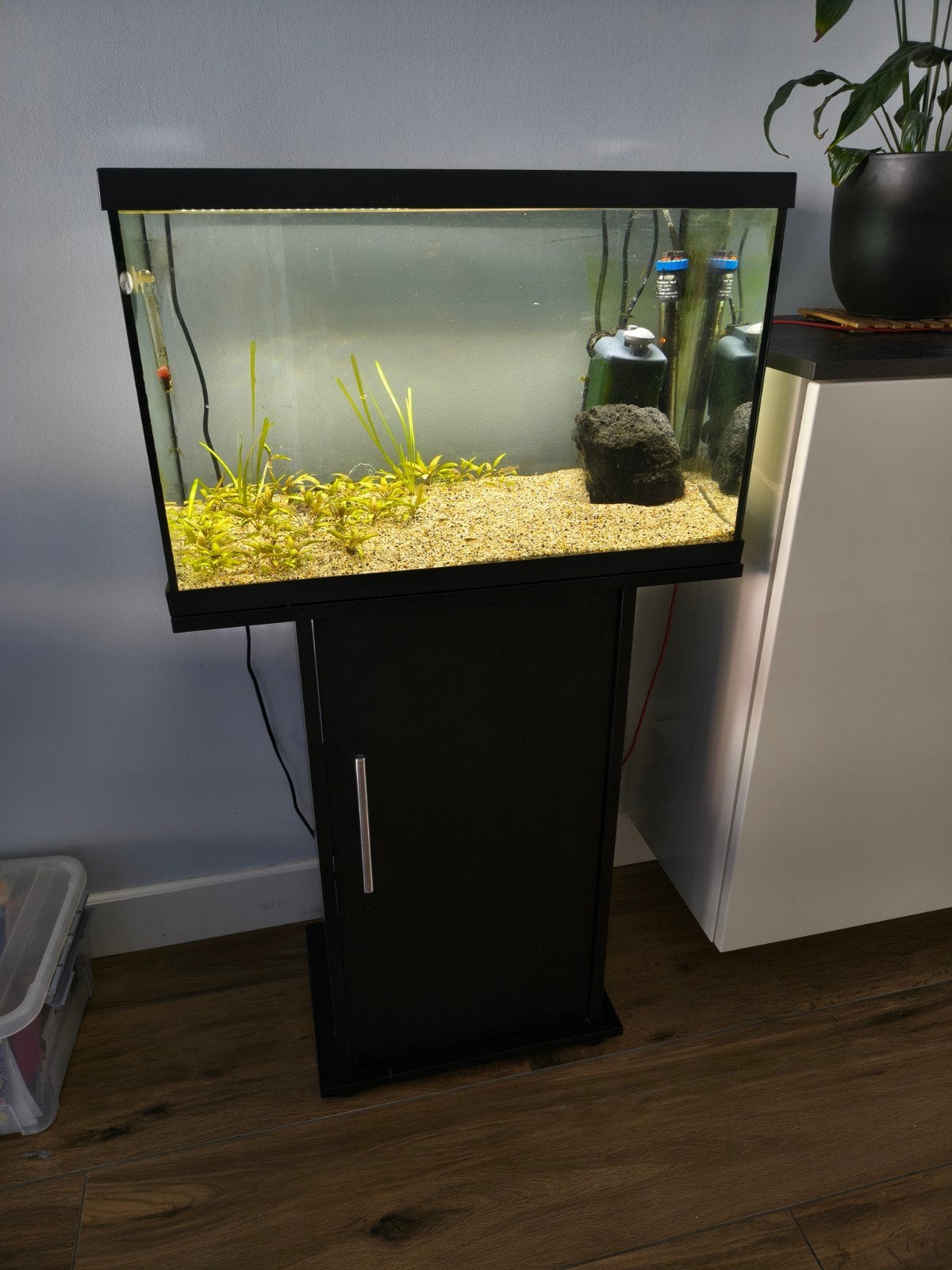 Eheim ~65L aquarium plus verschillende accessoires, Ophalen, Gebruikt, Gevuld zoetwateraquarium, Inclusief vissen