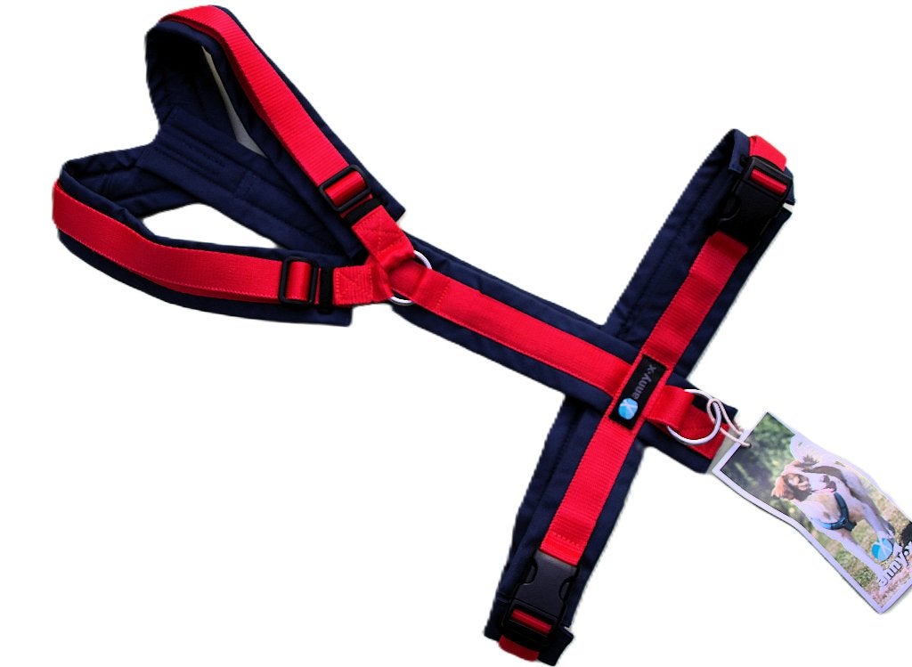 annyx hondentuig POTPOURRIE  Limited Edition maat XL, Overige merken, Hondentuig, Nieuw, Annyx