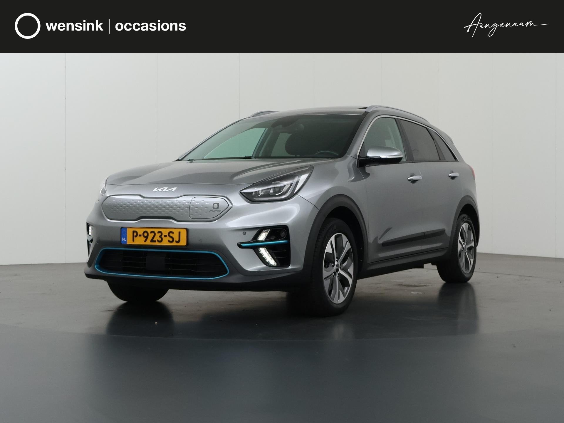 Kia e-Niro DynamicPlusLine 64 kWh | SOH 95% | Schuif/Kanteld