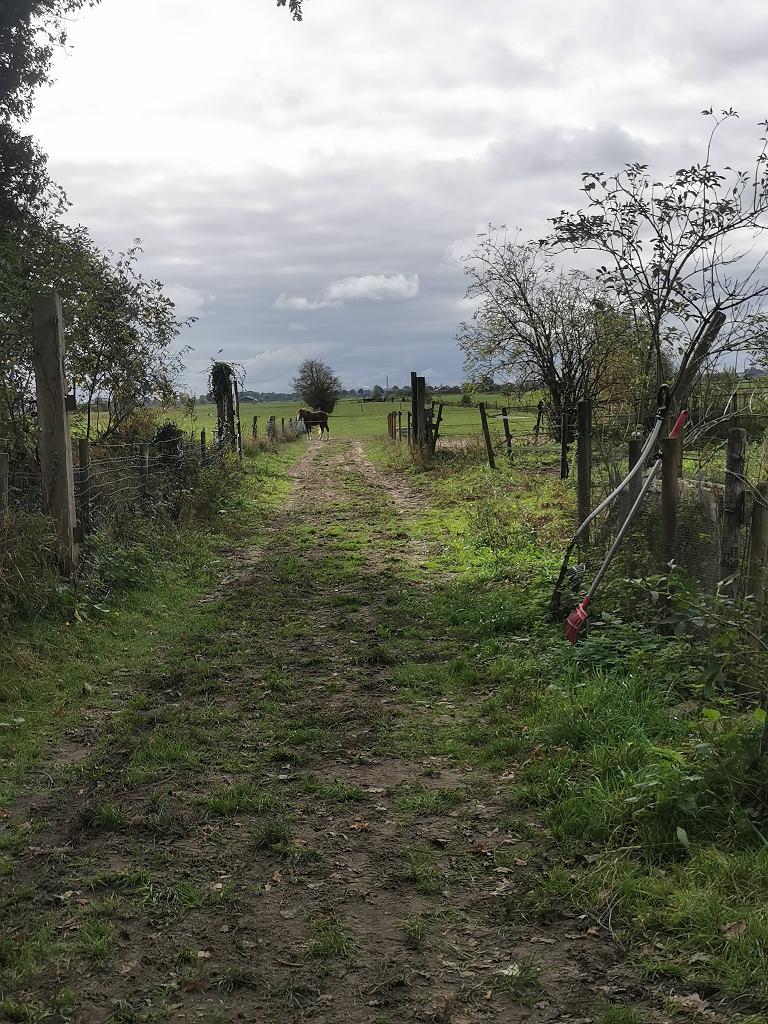Buitenplek met schuilmopgelijkheden voor ponyruin, Dieren en Toebehoren, Stalling en Weidegang, Weidegang