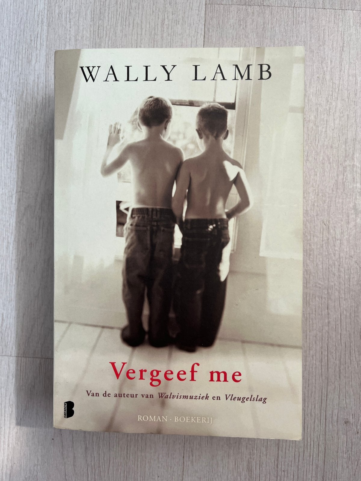Vergeef me - Wally Lamb (Roman), Boeken, Ophalen of Verzenden, Gelezen, Nederland