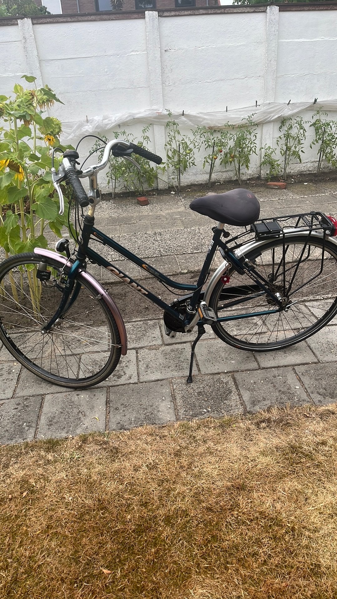 Damesfiets giant alles werkt nog goed, Fietsen en Brommers, Ophalen, Gebruikt, Velgrem, 47 tot 50 cm