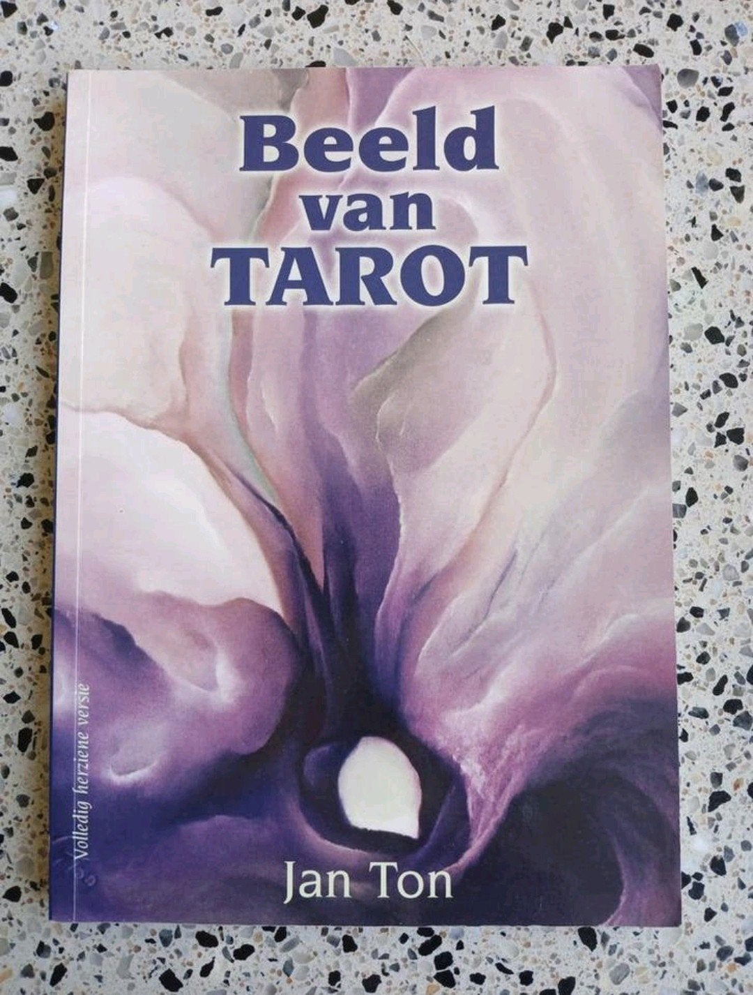 Beeld van Tarot - Jan Ton (Spiritualiteit, Astrologie), Boeken, Ophalen of Verzenden, Zo goed als nieuw