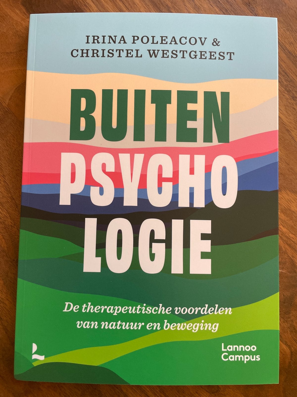 Buitenpsychologie irina poleacov christel westgeest, Verzenden, Nieuw, Klinische psychologie