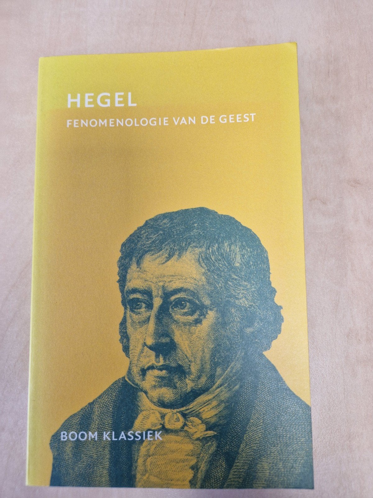G.W.F. Hegel - Fenomenologie van de geest, Boeken, Ophalen of Verzenden, Zo goed als nieuw, G.W.F. Hegel