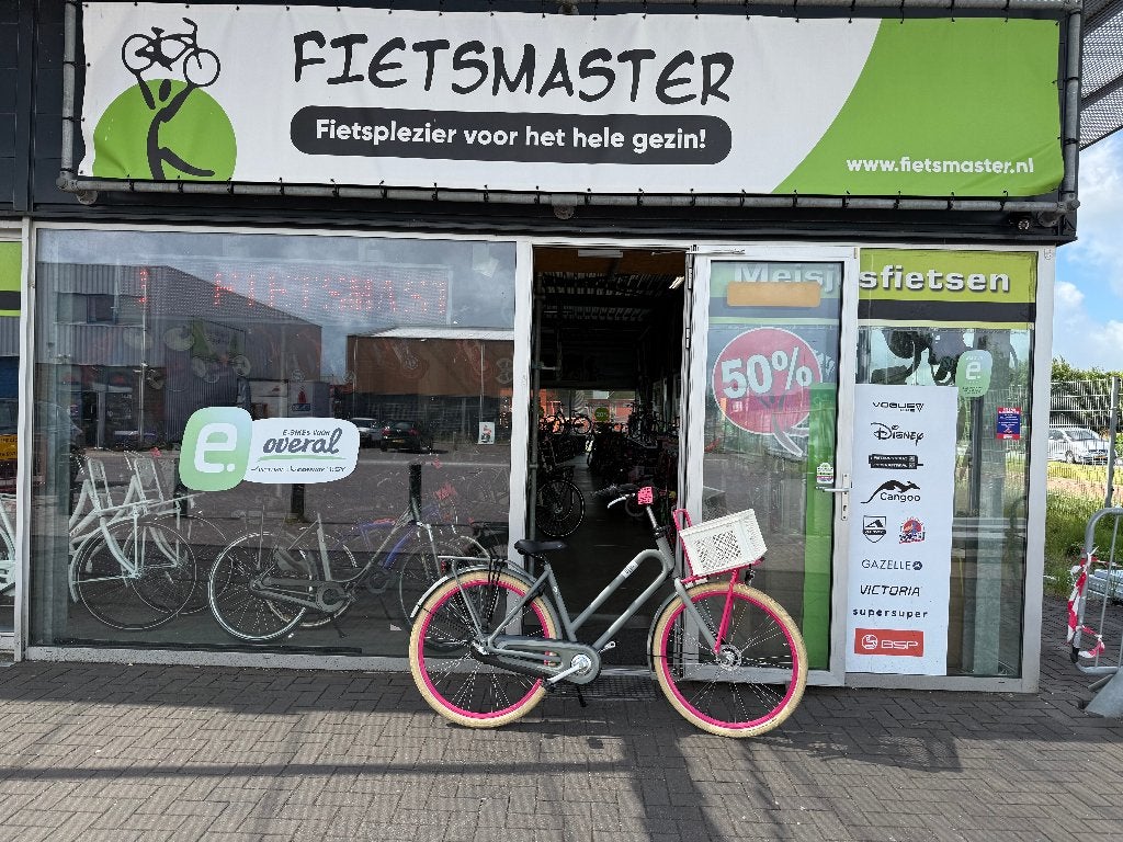 FIETSMASTER 28 INCH BATAVUS BUB RB3 WIT ROZE TRANSPORTFIETS