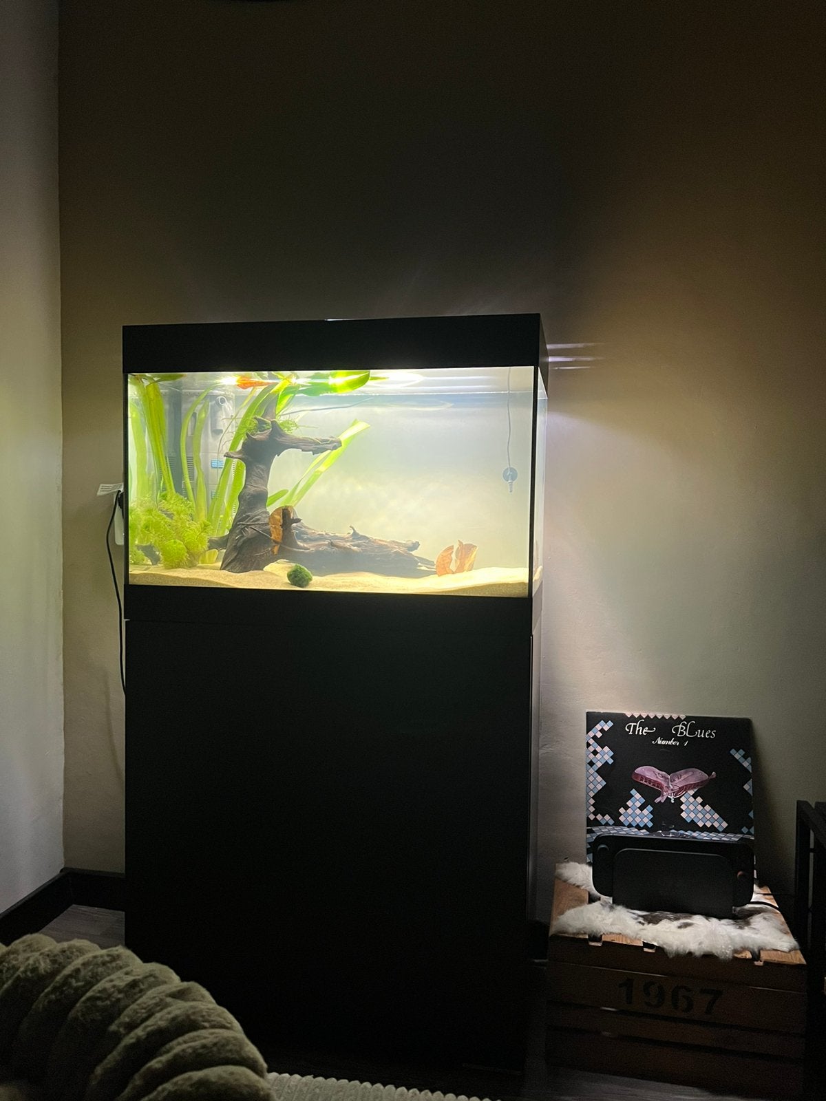 Oase StyleLine 125, Ophalen, Verwarming, Oase, Zo goed als nieuw
