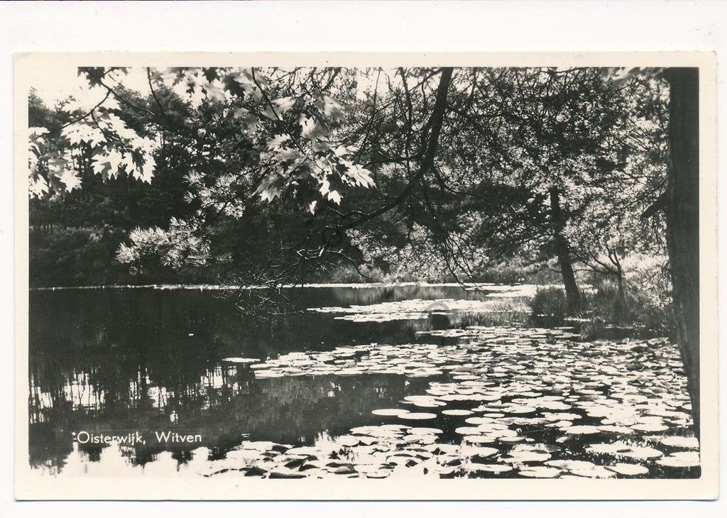 Oisterwijk - Witven [003-6041, Ophalen of Verzenden, 1960 tot 1980, Gelopen, Noord-Brabant