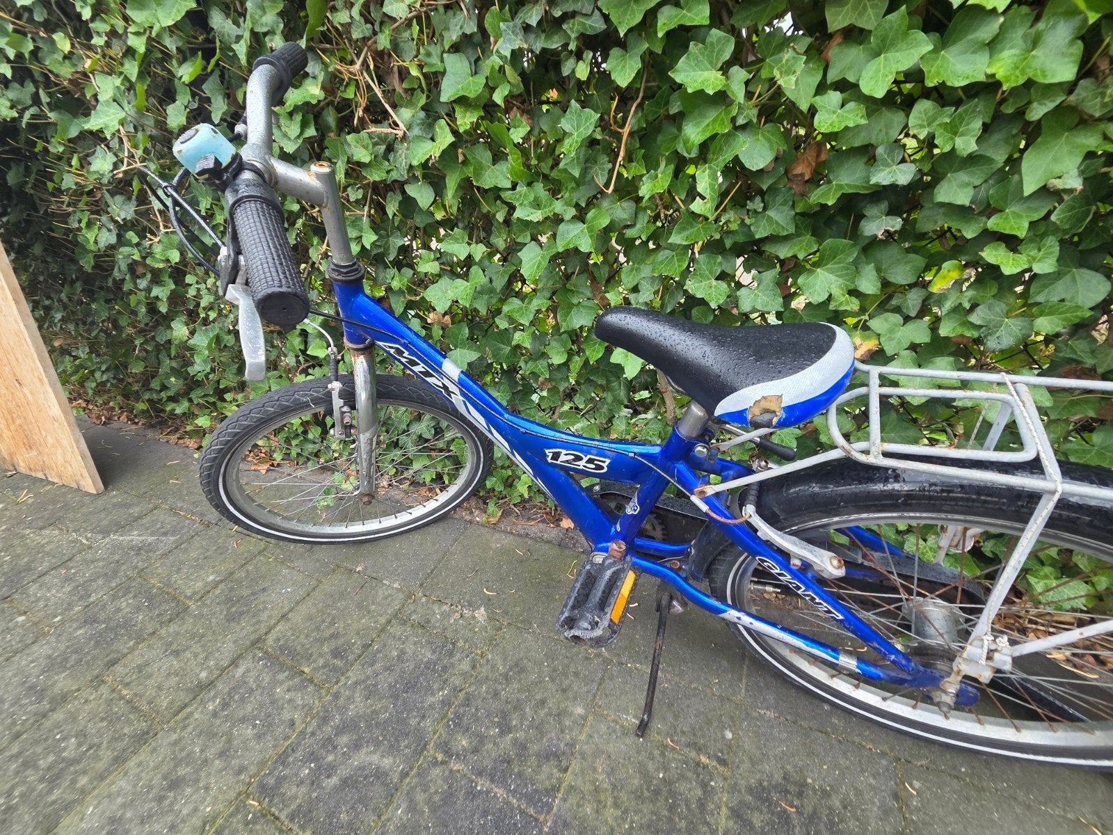 fiets 20 inch, Ophalen, Terugtraprem, Gebruikt, Giant
