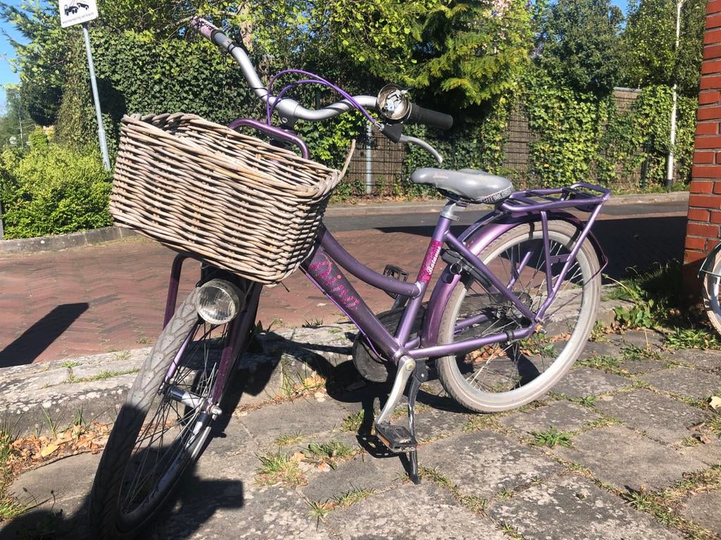Paarse Batavus Diva 24 inch meisjes fiets  met mand, Fietsen en Brommers, Ophalen, Terugtraprem, Batavus, 50 tot 53 cm