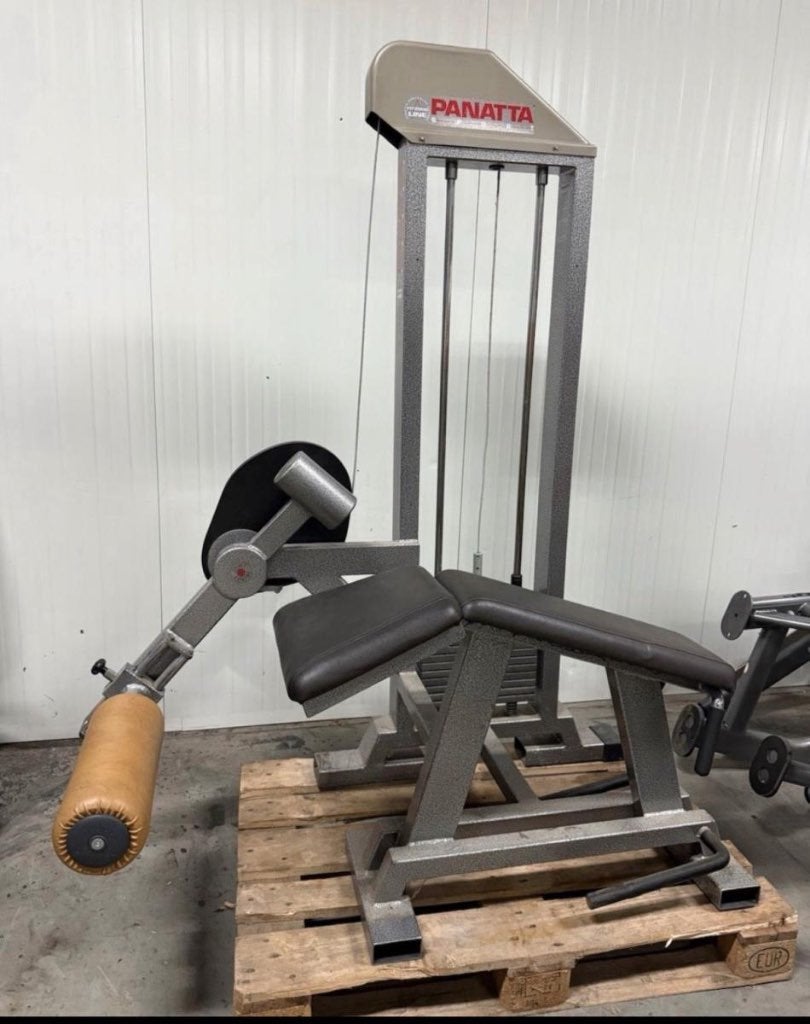 Panatta liggende leg curl / lying /beinbeuger / fitness, Gebruikt, -, -, Overige typen