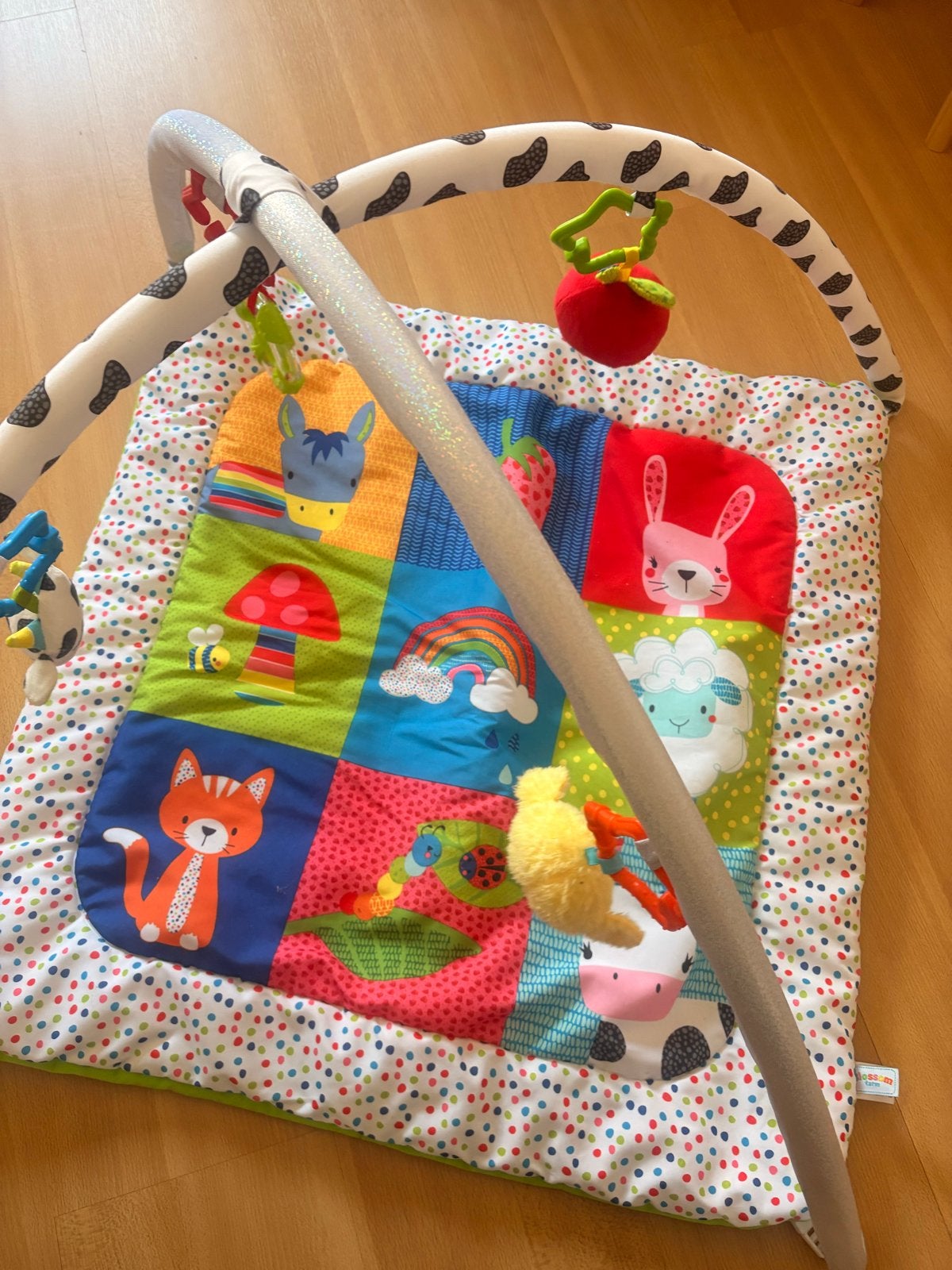 Speelkleed met babygym en speeltjes, Ophalen, Zo goed als nieuw, Speelkleed