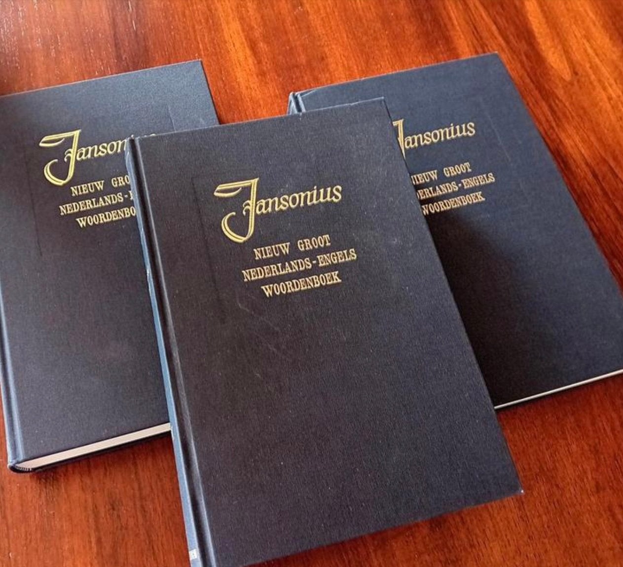 Jansonius juridische woordenboeken NL-ENG, Boeken, Woordenboeken, Ophalen, Zo goed als nieuw, Engels