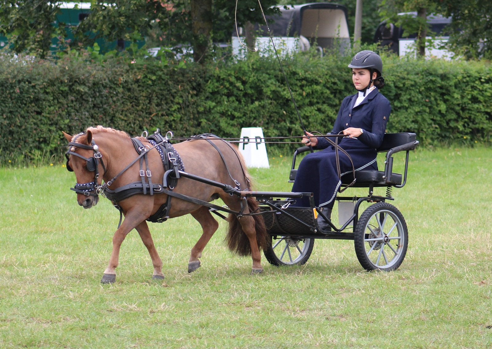 Sulky shetlander, Ophalen of Verzenden, Gebruikt