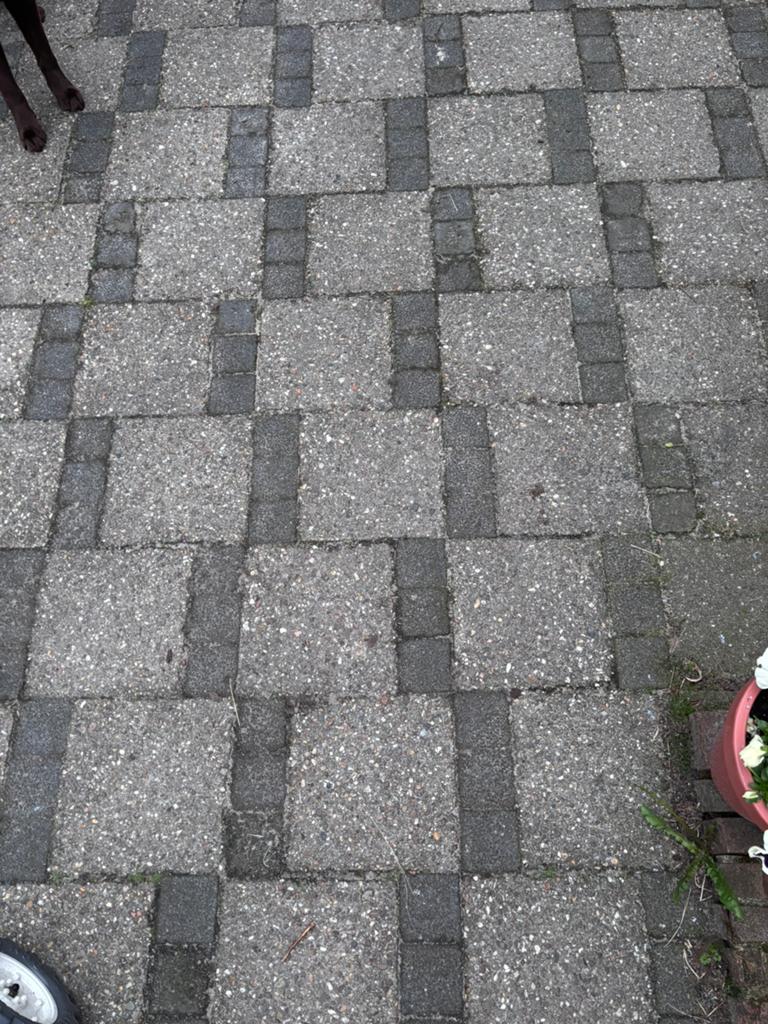 Tuintegels, Tuin en Terras, Ophalen, Gebruikt, Beton, Terrastegels