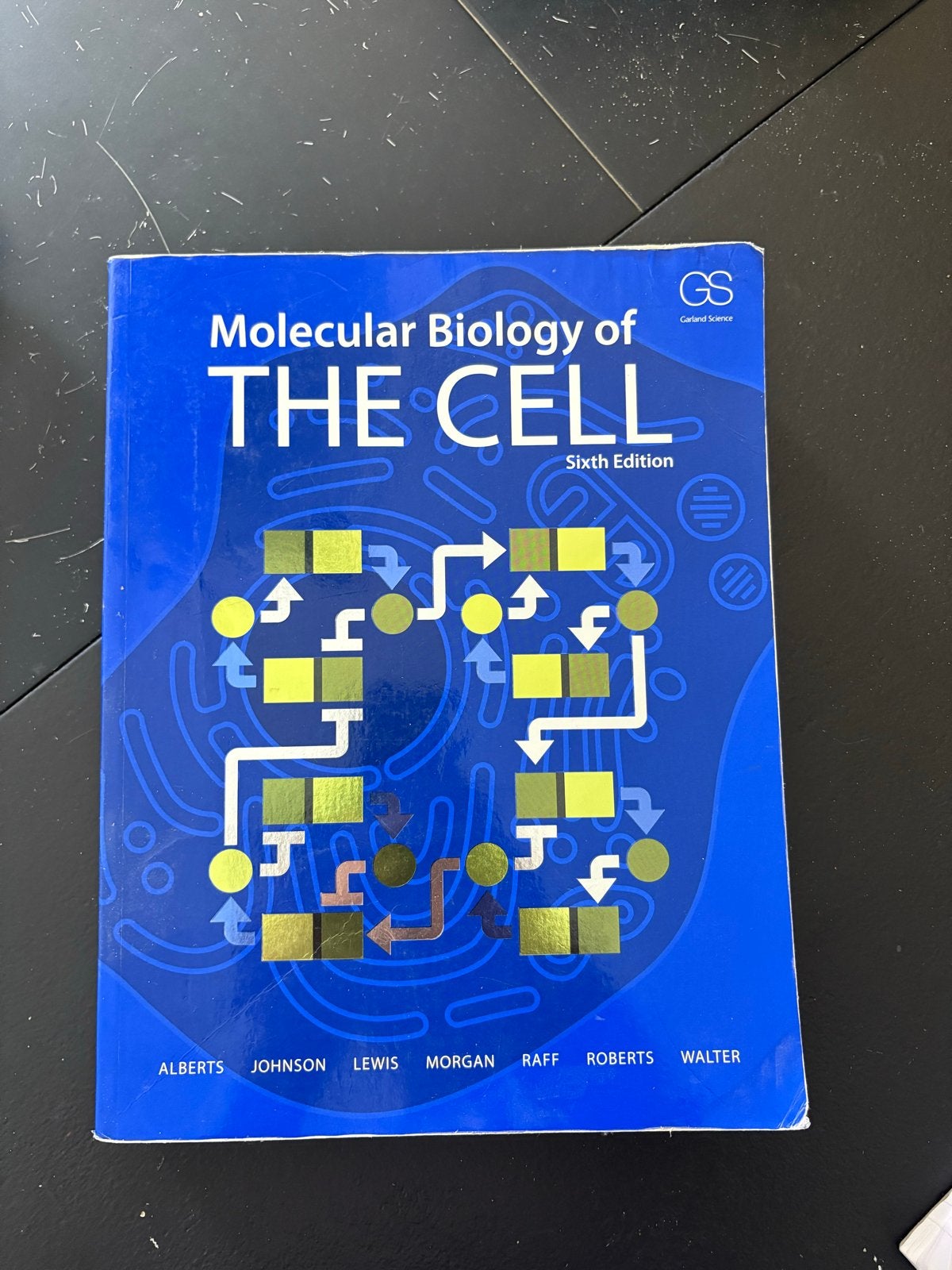 Molecular Biology of the Cell - Zesde editie, Verzenden, Beta, Gelezen, WO