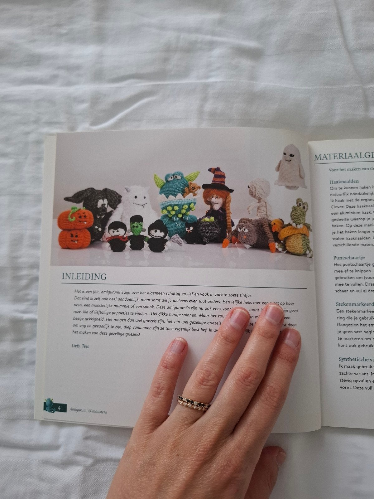 Tessa van Riet-Ernst - Amigurumi + monsters, Boeken, Breien en Haken, Tessa van Riet-Ernst, Ophalen of Verzenden, Zo goed als nieuw