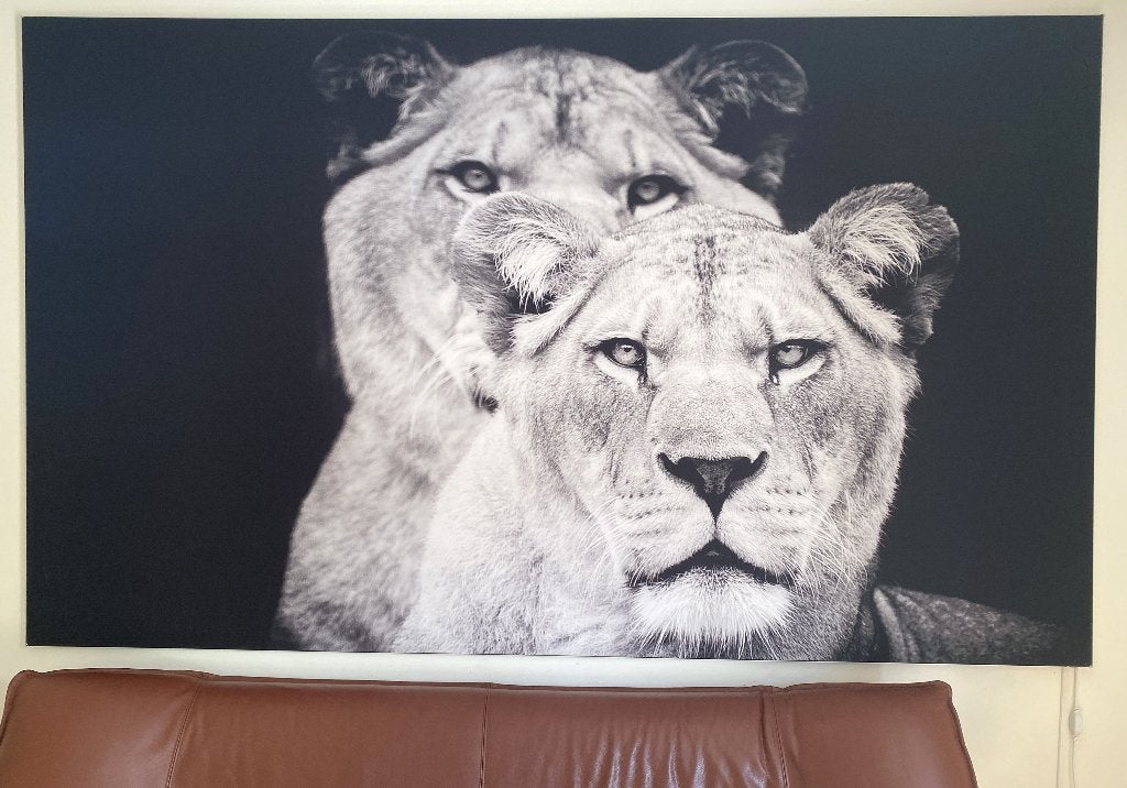 Wanddoek met aluminium frame en verlichting, Ophalen, Zo goed als nieuw, 125 cm of meer, Overige typen