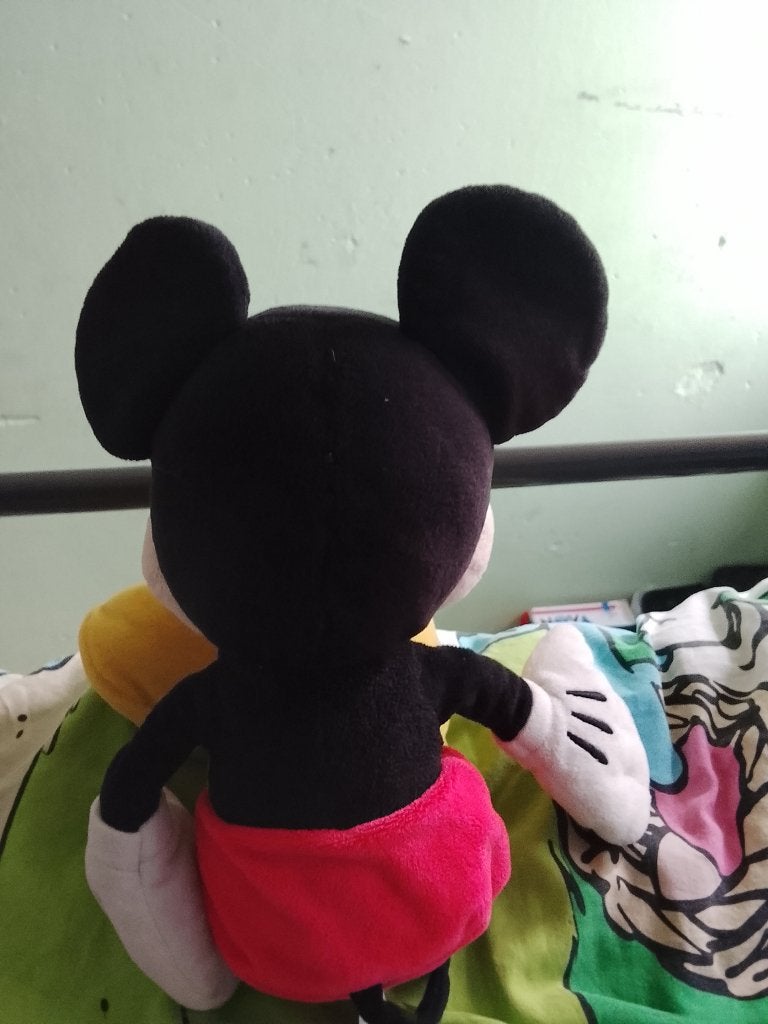 Leuke knuffels dior knuffel 5 euro en de rest 3 euro, Disney, Beer, Ophalen of Verzenden, Zo goed als nieuw