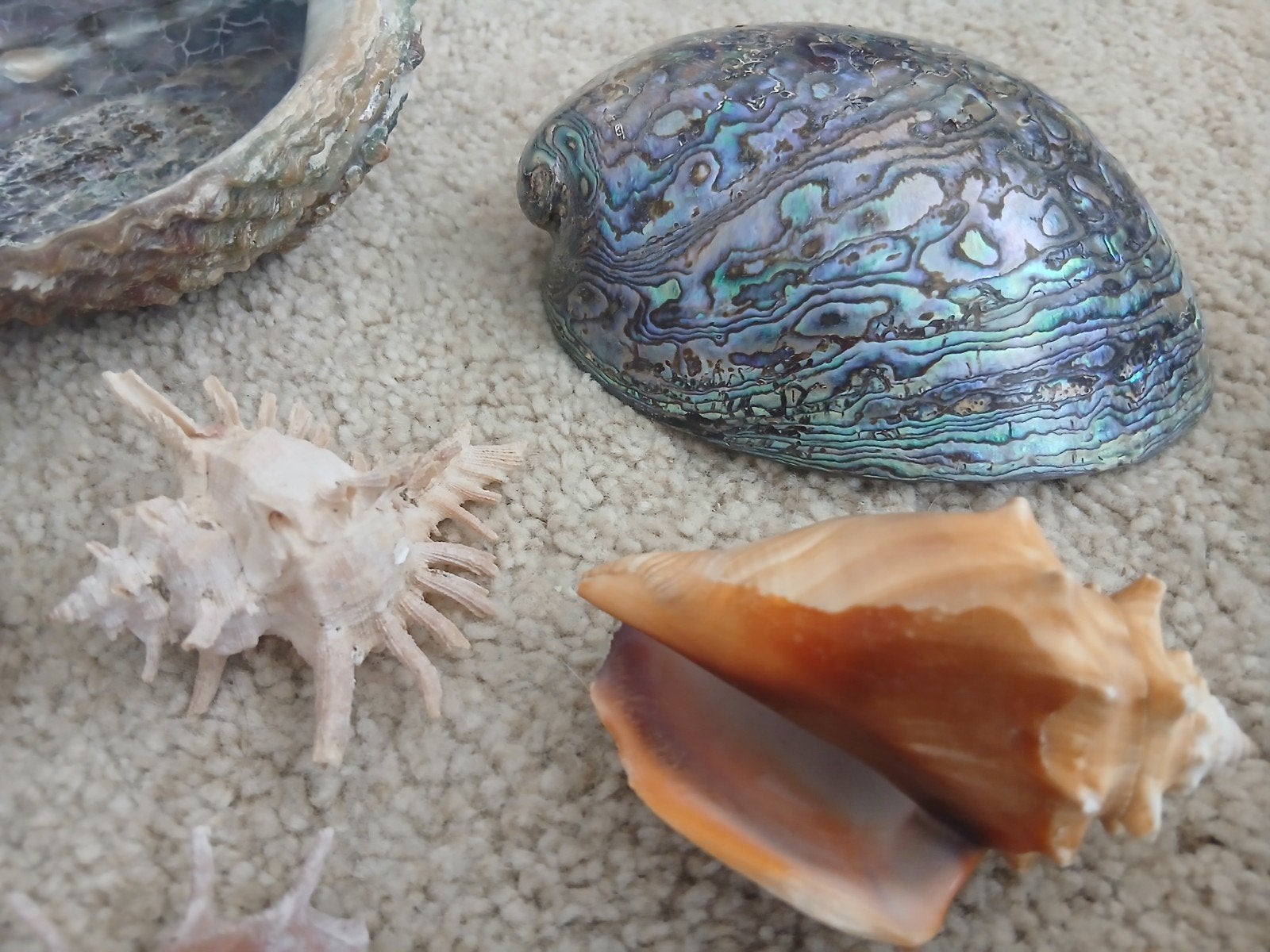 Verzameling Kristallen, Schelpen en Mineralen, Ophalen, Mineraal