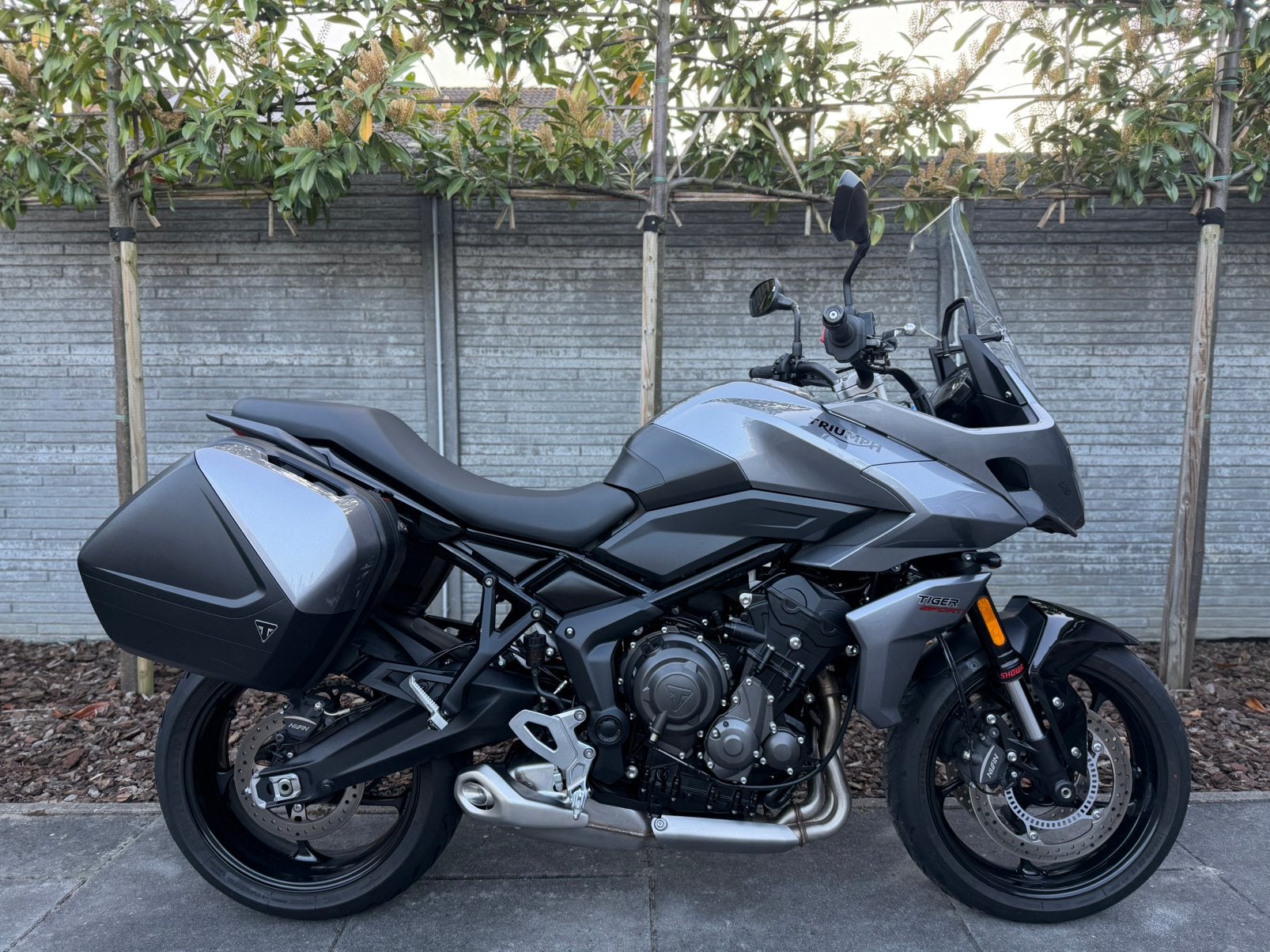 Triumph Tiger Sport 660 / 2022 / ABS / A2 - 35KW /, Motoren, Motoren | Triumph, Bedrijf, 3 cilinders, Toermotor, 668 cc