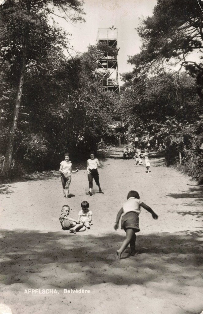 Appelscha Belvédère Uitkijktoren L2918, Ophalen, 1960 tot 1980, Gelopen, Friesland