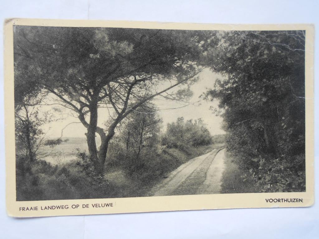 Voorthuizen Veluwe schitterende natuur zandpad op de Veluwe, Ophalen of Verzenden, 1940 tot 1960, Gelopen, Gelderland