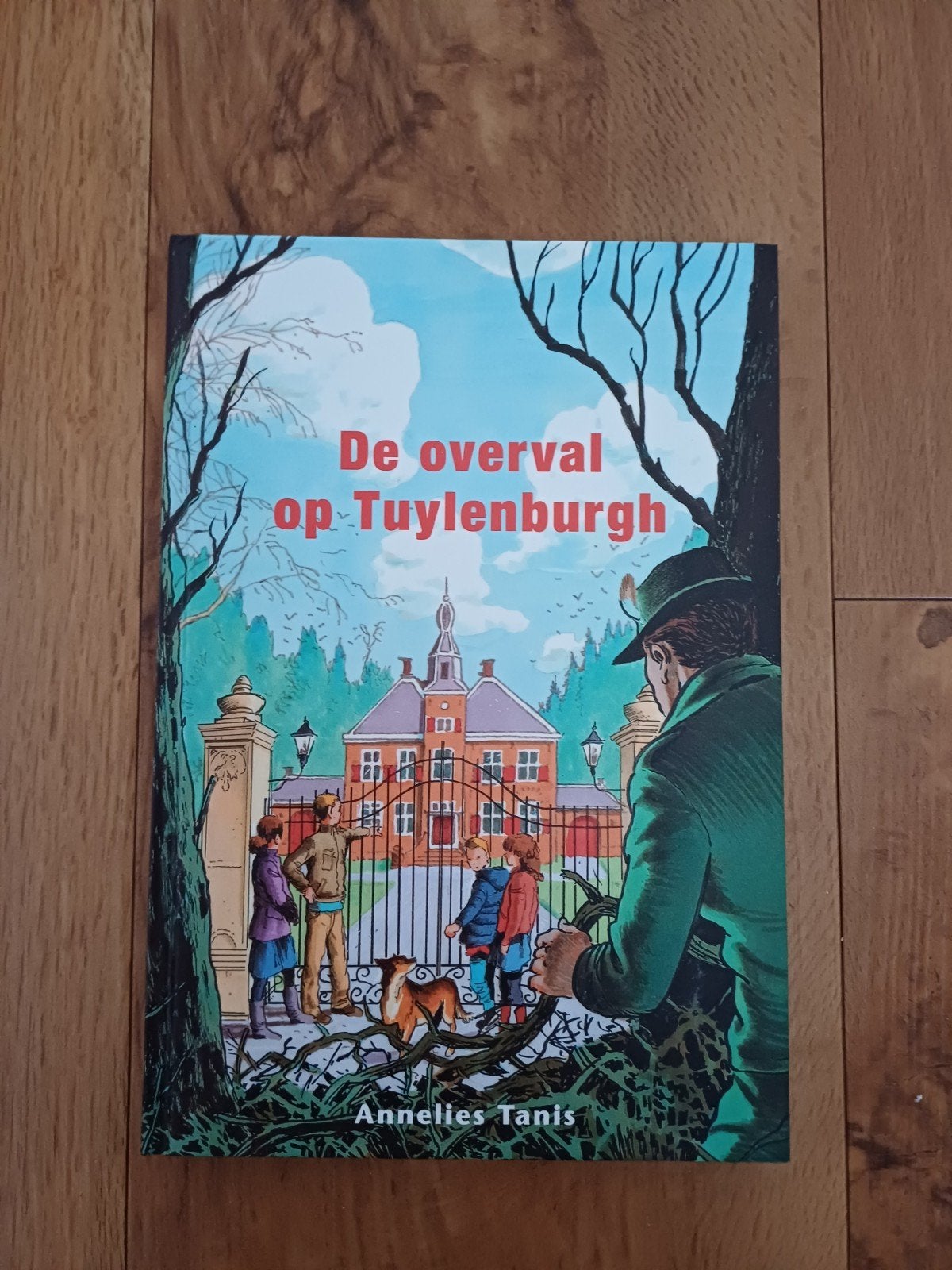 Annelies Tanis - De overval op Tuylenburgh. Nieuwstaat, Ophalen of Verzenden, Zo goed als nieuw, Annelies Tanis