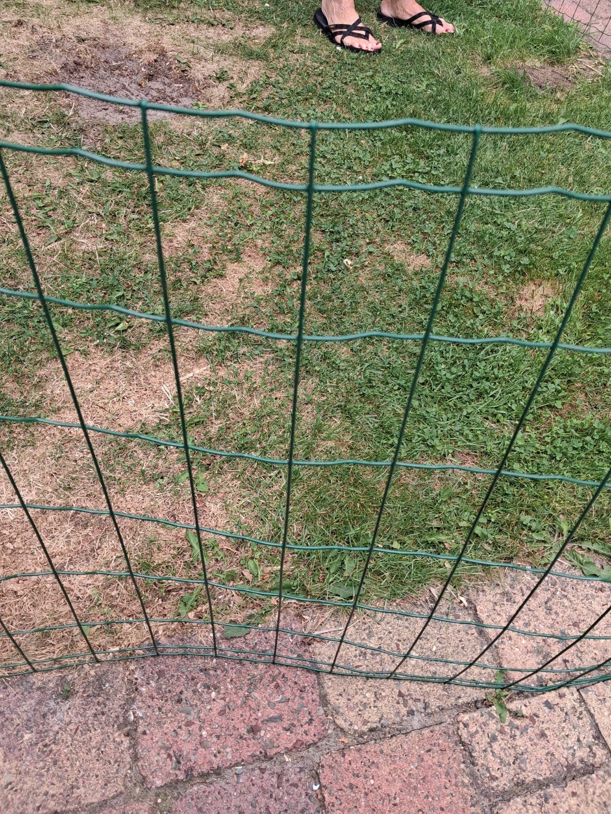 10 meter groen gaas hekwerk, Ophalen of Verzenden, Gebruikt, 10 tot 20 meter, Gaas