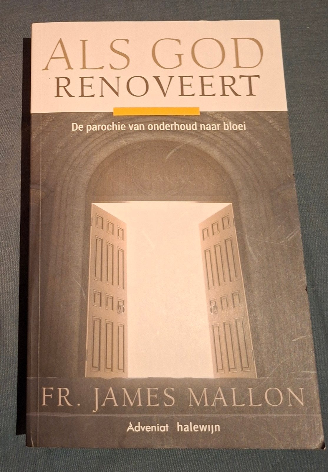 James Mallon - Als God renoveert, Ophalen of Verzenden, Zo goed als nieuw, James Mallon