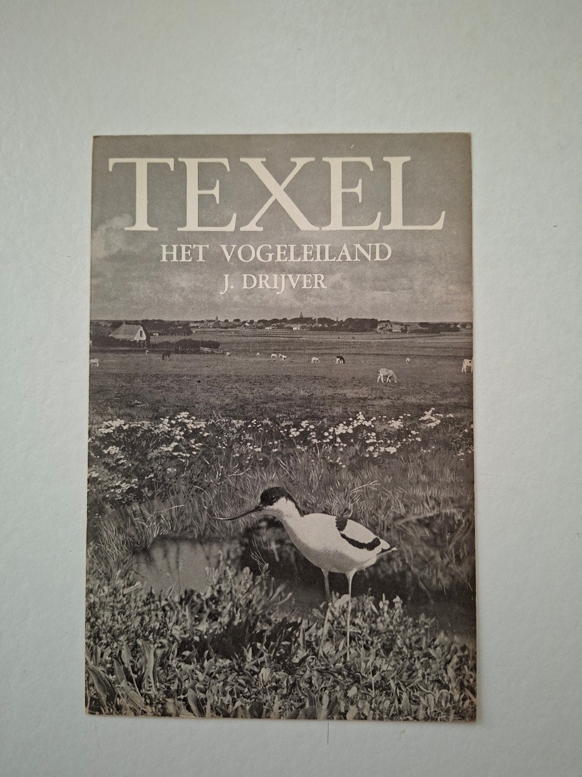 reclame blad voor boek Texel het vogeleiland *J.Drijver, Verzamelen, Ophalen of Verzenden, Gebruikt, Overige typen